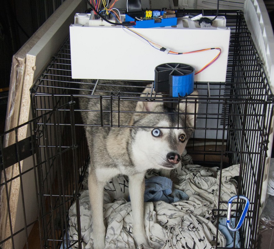 Internet Dog Treat Dispenser (v2)