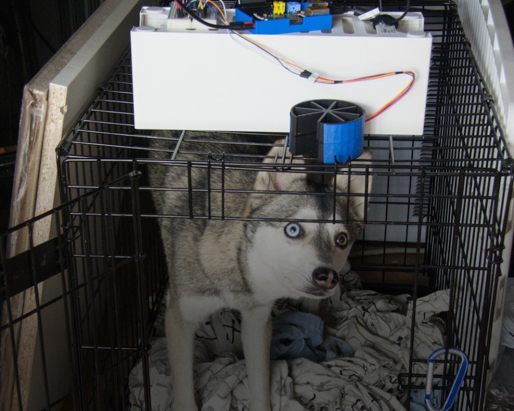 Internet Dog Treat Dispenser (v2)